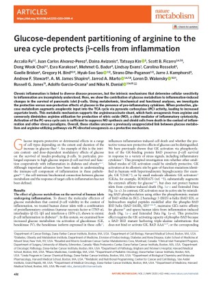 Glucose dependent partitioning of arginine to the urea cycle protects b-cell from inflammation.