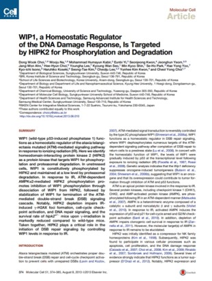 A Homeostatic Regulator of the DNA Damage Response, Is Targeted by HIPK2 for Phosphorylation and Degradation.